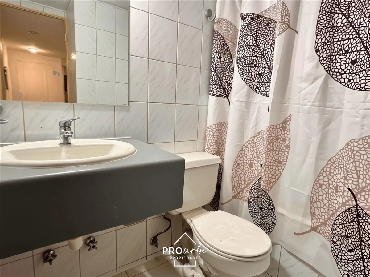 Imagen 5 de 30 de Departamento En Venta De 3d 2b E Y Bodega En Santiago