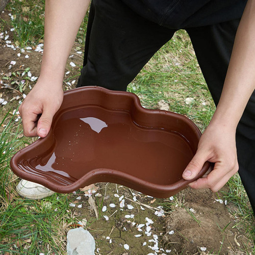 Cuenco De Agua Grande Para Serpientes Plato De Agua Grande P