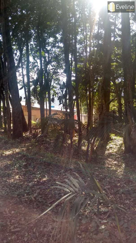 Imagem 7 de 11 de Terreno, Vila Suissa, Mogi Das Cruzes - R$ 800 Mil, Cod: 2434 - V2434