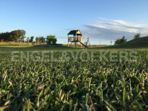 Venta De Chacra En Canelones