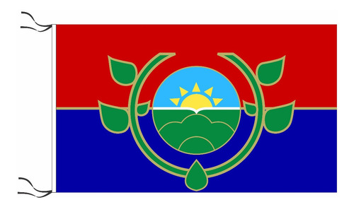 Bandera De La Municipalidad De Lomas De Zamora 90x150