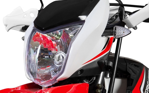 Imagen 2 de 10 de Moto Torino Tiger 250 22