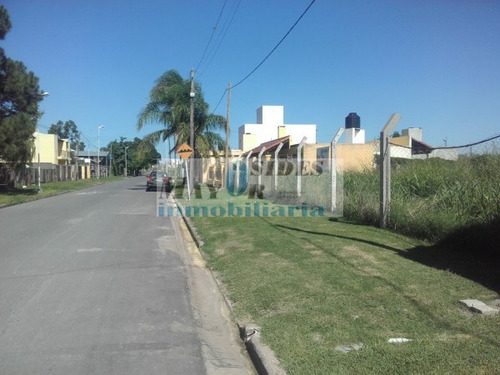 Imagen 4 de 9 de Terrenos C/todos Los Serv.