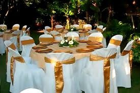 Imagen 7 de 10 de Alquiler Silla Mesa Carpa Coctelera Pista De Baile Tyfani
