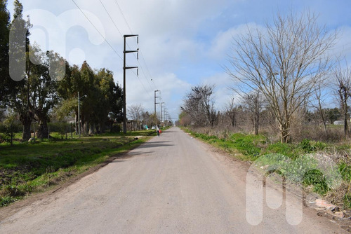 Imagen 6 de 10 de Venta Terreno - Los Hornos