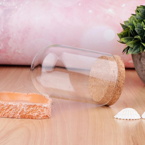 Sm Sunnimix Campana De Vidrio Con Florero De Micro Paisaje P