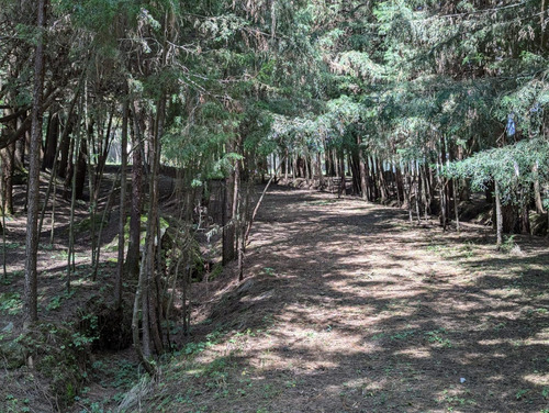 Terreno En Venta En Tres Marías