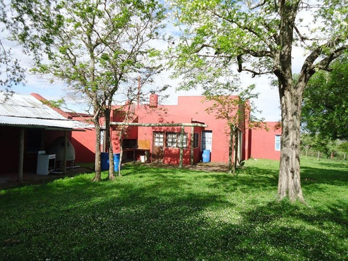 Campo En Venta En Lavalleja. 37 Hectáreas.