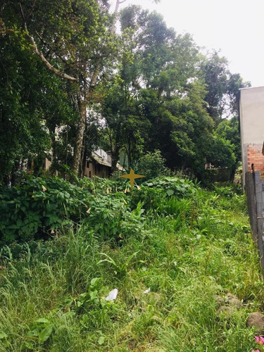 Imagem 3 de 3 de Terreno Em Canela - 771