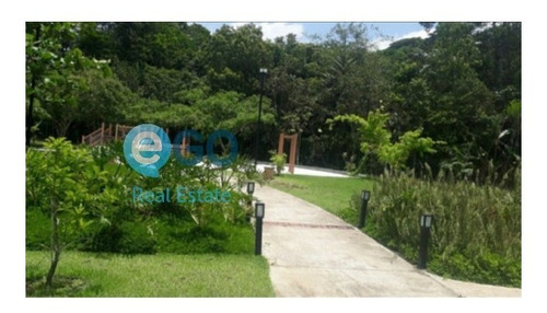 Imagem 10 de 16 de Jardim Marselha! Chegou A Sua Vez! - Par_377