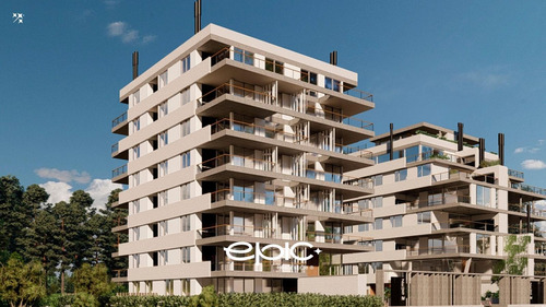 Zeus IV