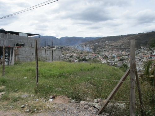 Imagen 3 de 3 de Terreno En Renta Boulevard Vicente Guerrero