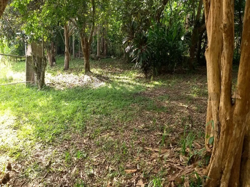 Imagem 25 de 26 de Chácara À Venda Em Juquitiba. - 315 - 32982813