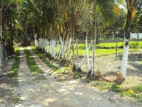 Chácara Excelente No Jardim Gaivota Em Itanhaém - Ch022