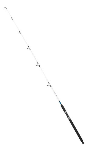 Vara Saint Pantanal 1802-sp 30-60lbs 1,80m 2 Partes