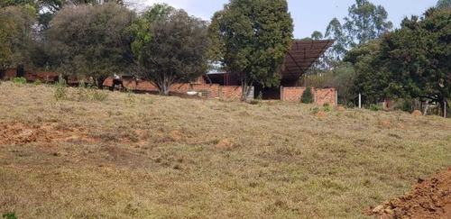 Imagem 13 de 27 de Sitio Com 2 Hectares A 4 Km Do Asfalto São João Da Boa Vista 600.000,00 - 33606