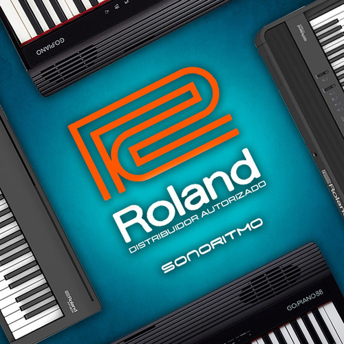 Roland Fp-10 Piano Digital Con Base Kscfp10-bk Negra