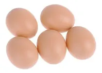 Comprar Kit 5 Ovos Falsos Brincadeira Plástico Para Indez Galinha