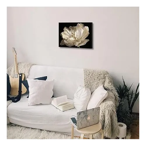 Decoración De Baño Negro Tulipán Blanco Sobre Fondo