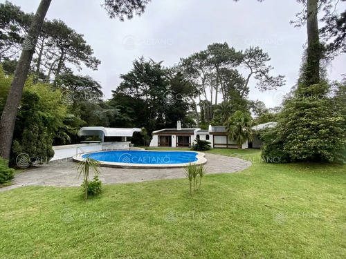 Alquiler Casa Con Terreno De 6600m2 Por Pedragosa Sierra, Punta Del Este
