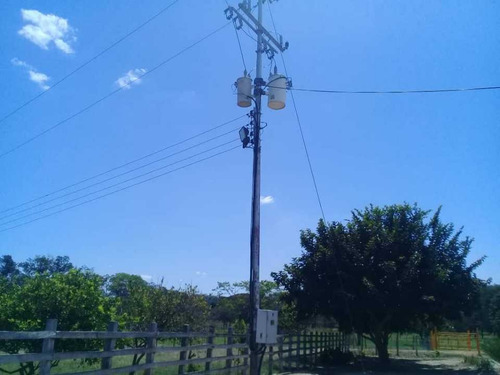 Imagen 5 de 30 de Finca De 440 Has En Cojedes-acarigua. 3 Pozos De Agua, Electricidad.