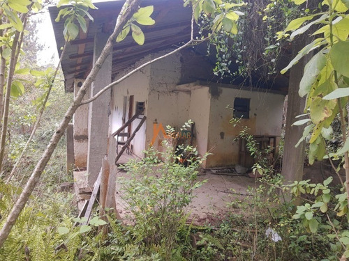Imagem 20 de 30 de Sitio - St00050 - 68459069