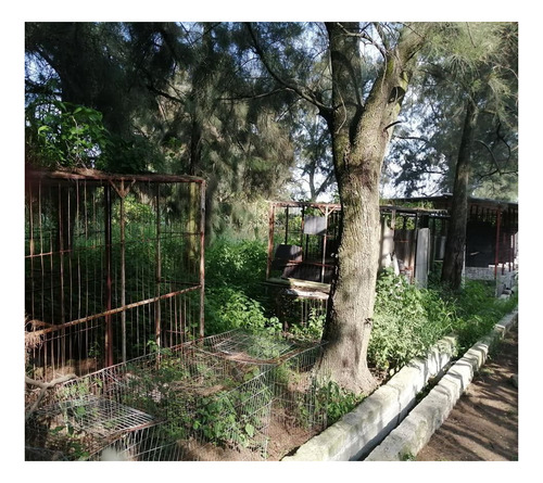 Imagen 25 de 30 de Terreno En Venta Cerca Del Aeropuerto