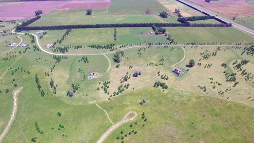 Imagen 10 de 17 de Últimos Lotes En Venta En El Club De Campo Las Hojas