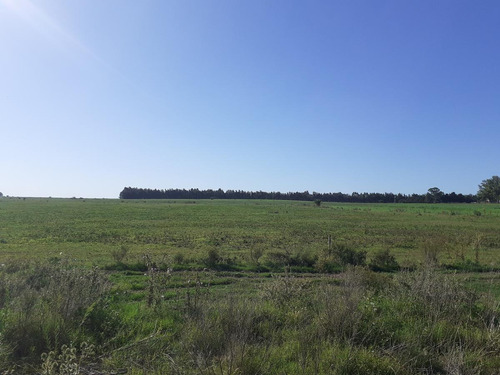 Venta De Chacra Colonia