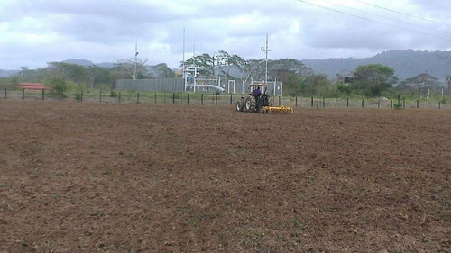 Imagen 5 de 14 de Venta Finca En Falcón Tucacas Oportunidad Cod. 423619