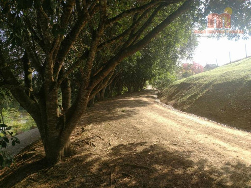 Imagem 28 de 30 de Chácara Residencial À Venda, Centro, Pedro De Toledo. - Ch0100
