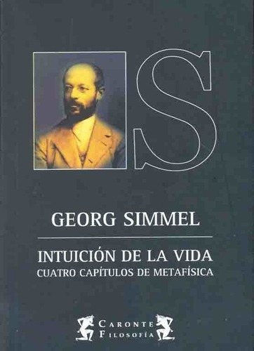 Intuicion De La Vida - Simmel, George, de Simmel, George. Editorial Terramar en español