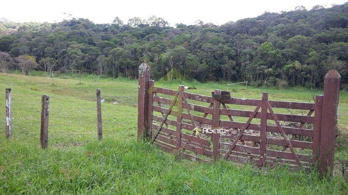 Imagem 19 de 30 de Chácara, Cipó, Embu-guaçu - R$ 1 Mi, Cod: 1770 - V1770