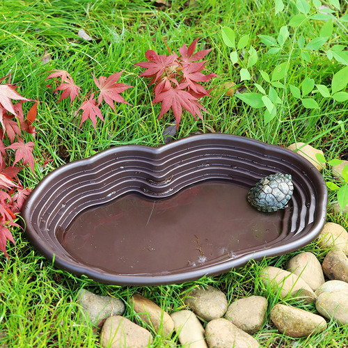 Fuente De Hidratación Para Reptiles, Plato De Sin Drenaje