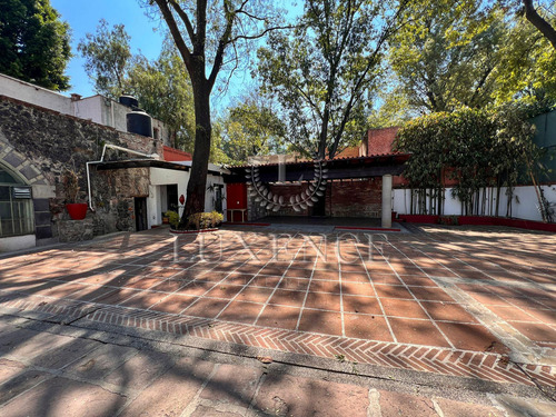 Local En Venta Y Renta, La Concepción