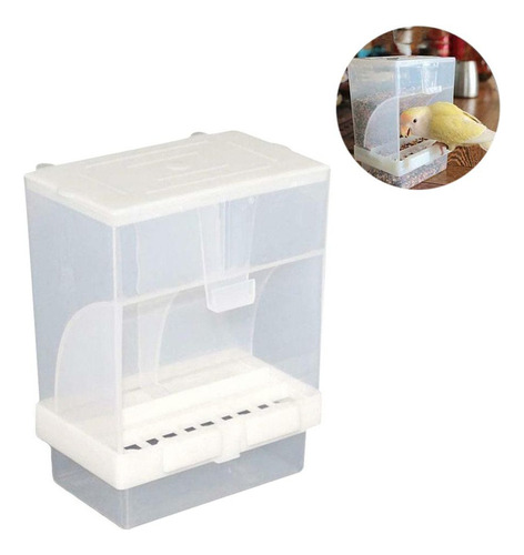 Comedero Automático Para Pájaros, Dispensador De Comida De P