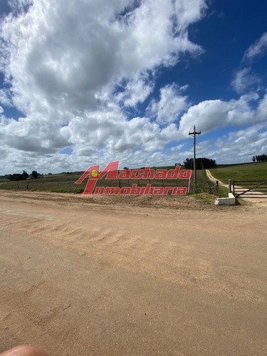 Imagen 12 de 29 de Chacra En Venta