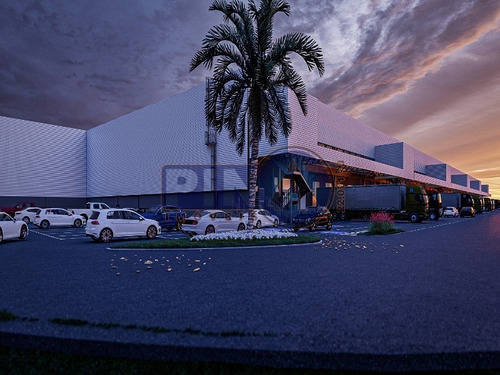 Imagem 9 de 13 de Galpao Para Alugar Em Aparecida De Goiania - Gl00119 - 69581132