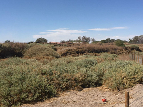 Se Vende Terreno En Calama Sector Oriente