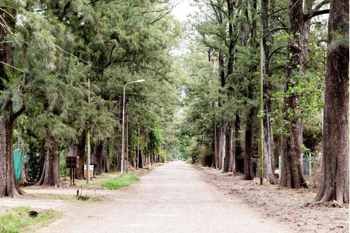 Hermoso Lote De 440 M2 /tortuguitas/en Promocion