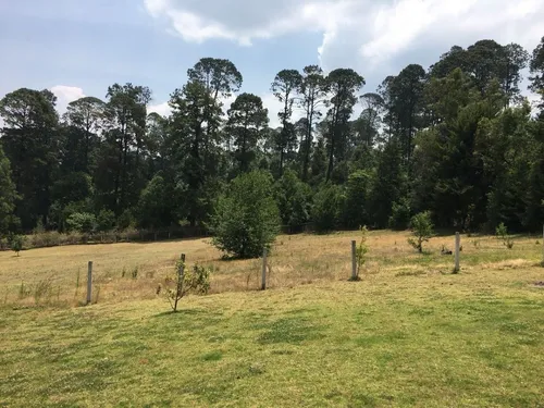 Casa En Venta En En Valle De Bravo, Cerro Gordo, Avandaro