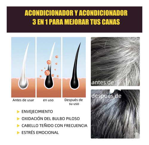 Shampoo Con Tinte Cubre Canas Natural Jengibre -negro100ml*2
