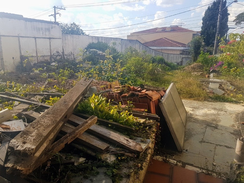 Imagem 17 de 30 de Terreno-são Paulo-jardim Prudência | Ref.: Reo16669 - Reo16669