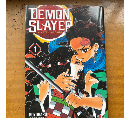 Demon Slayer  Kimetsu No Yaiba 01