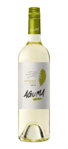 Vino Aguma Suavignon Blanc 750cc San Juan + Video