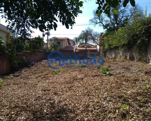 Terreno - Venda - Campinas - Sp - Barão Geraldo - Te00056 - 68379163