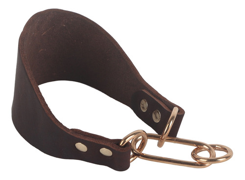 Collar De Galgo Portátil Duradero Para Mascotas Para Perros