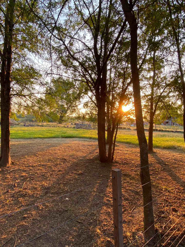 Imagen 15 de 27 de Casa Quinta Privada Alquiler Temporal A Solo 130km De Capital Pueblo Rural Ideal Para Descansar Cerca De San Antonio De Areco Y Baradero