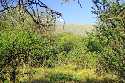Lotes En Venta En Cerro De Oro Loteo Altos Del Cerro Merlo San Luis