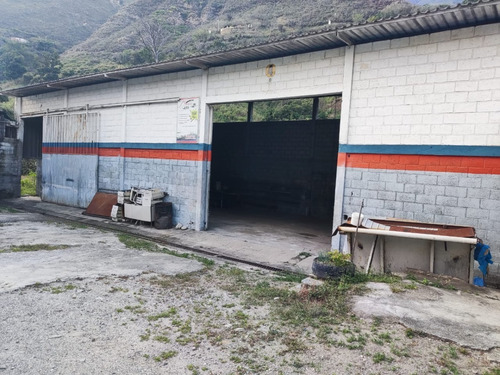 Imagen 11 de 28 de En Venta Galpón Y Terreno Ubicado En Ejido Sector Los Higuerones